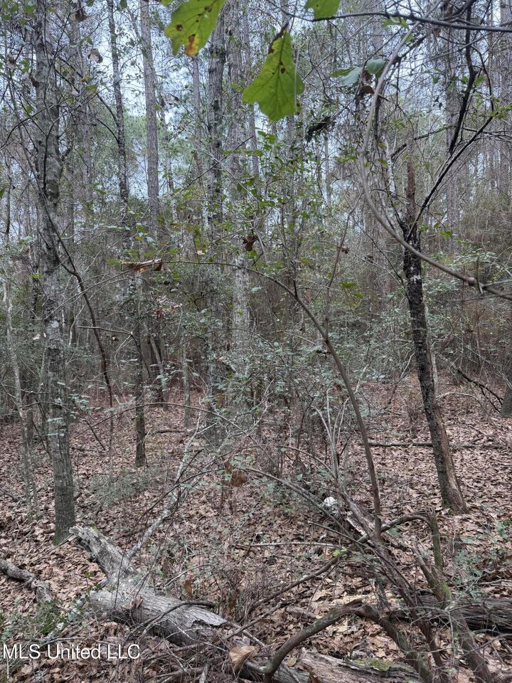 Property Photo:  00 Lorraine Road  MS 39532 