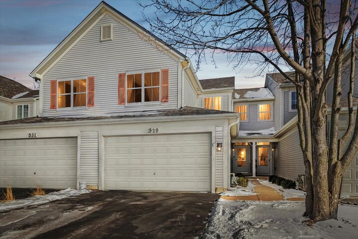 Property Photo: 529 Horizon Drive IL 60103