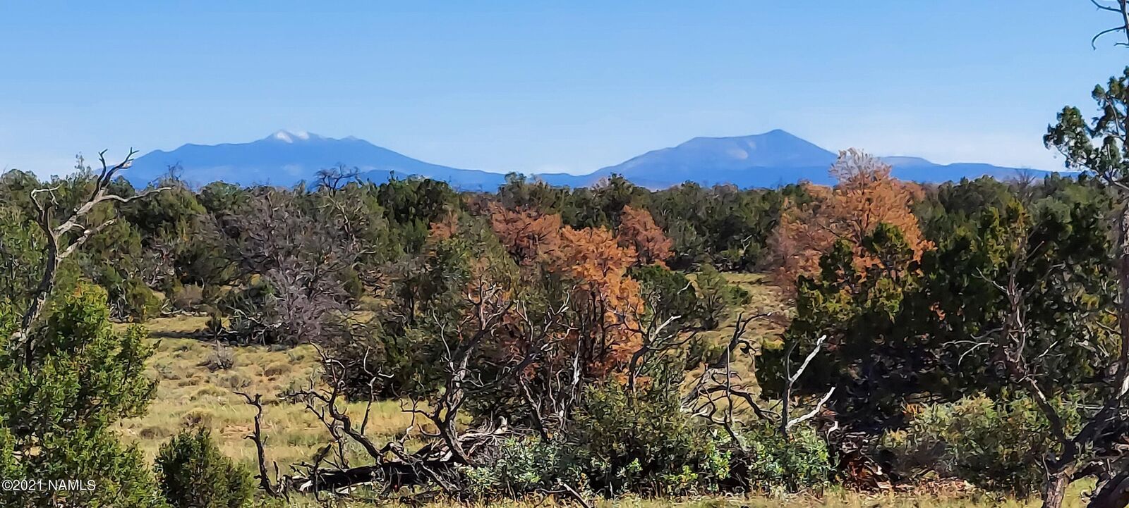 Property Photo:  6863 N State Route 64  AZ 86046 