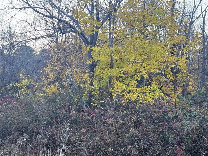 Property Photo:  Lot 3 Lawler Ln  MA 02072 