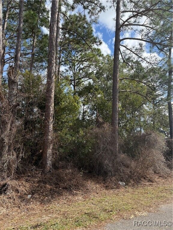 Property Photo:  Tbd SE 190th Avenue  FL 34488 