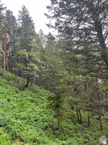 Property Photo: 415 E Matterhorn Dr. S 138 UT 84098