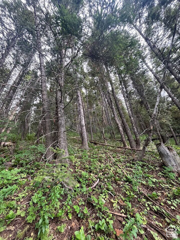 Property Photo:  415 E Matterhorn Dr. S 138  UT 84098 