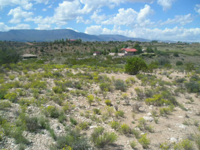Property Photo:  7395 E Mesa Drive  AZ 86325 
