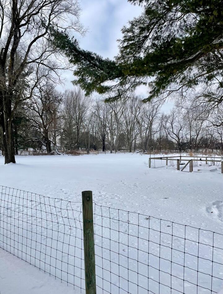 Property Photo:  7801 Harlem Road  OH 43081 