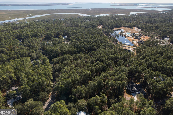 Property Photo: V/L 238 Lateral Buoy Lane GA 31558