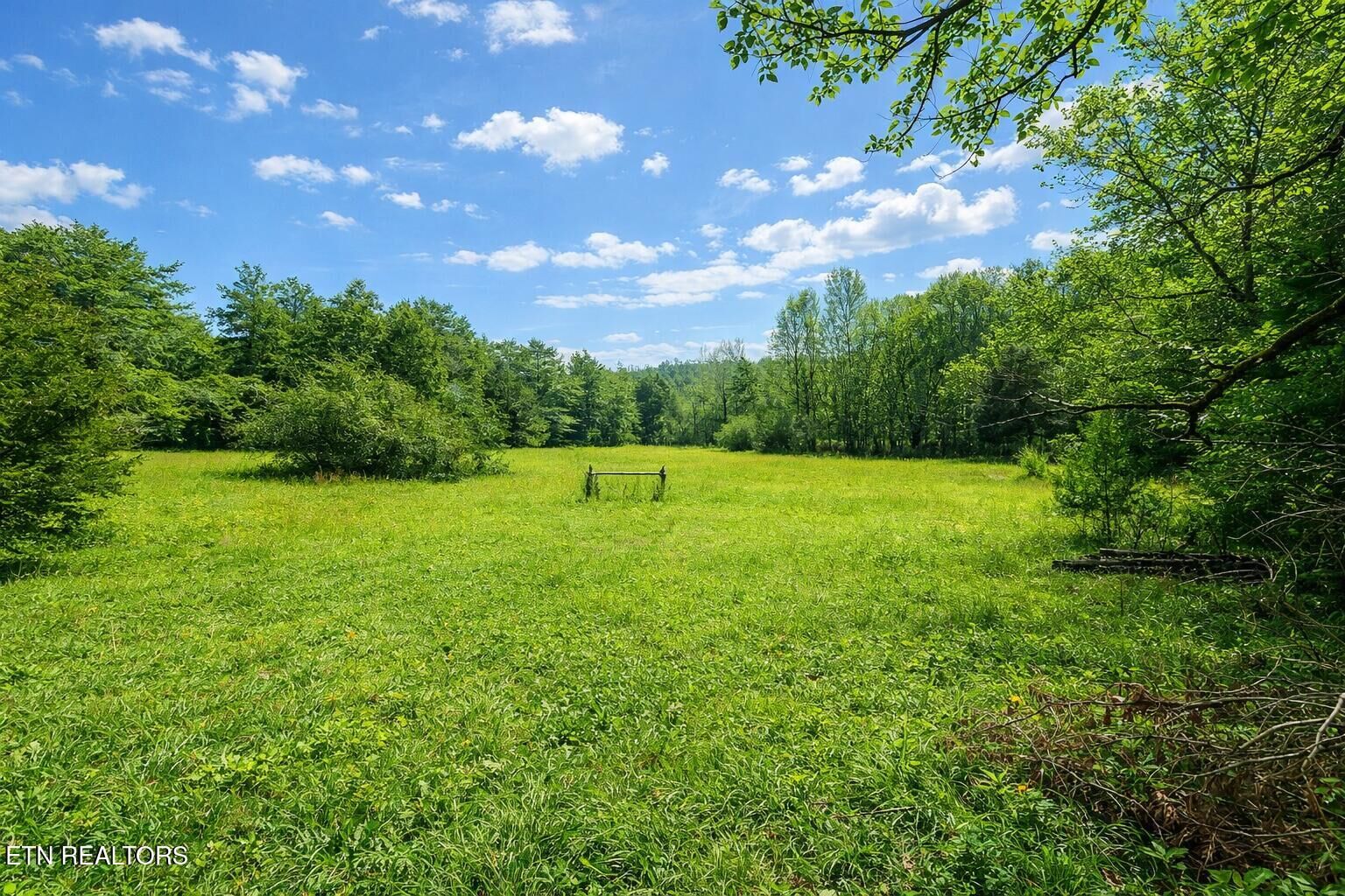 Property Photo: 864 E Bullrun Valley Drive TN 37754