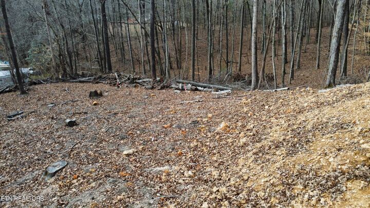 Property Photo:  111 Scenic Drive  TN 37748 