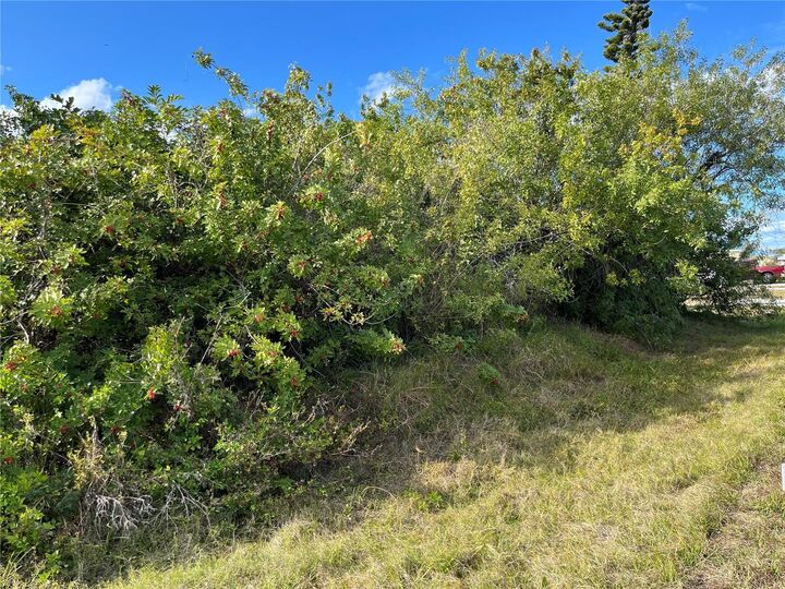 Property Photo:  4231 Oneill Street  FL 33948 