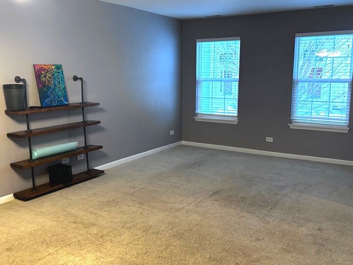 Property Photo: 534 Richard Brown Boulevard IL 60073