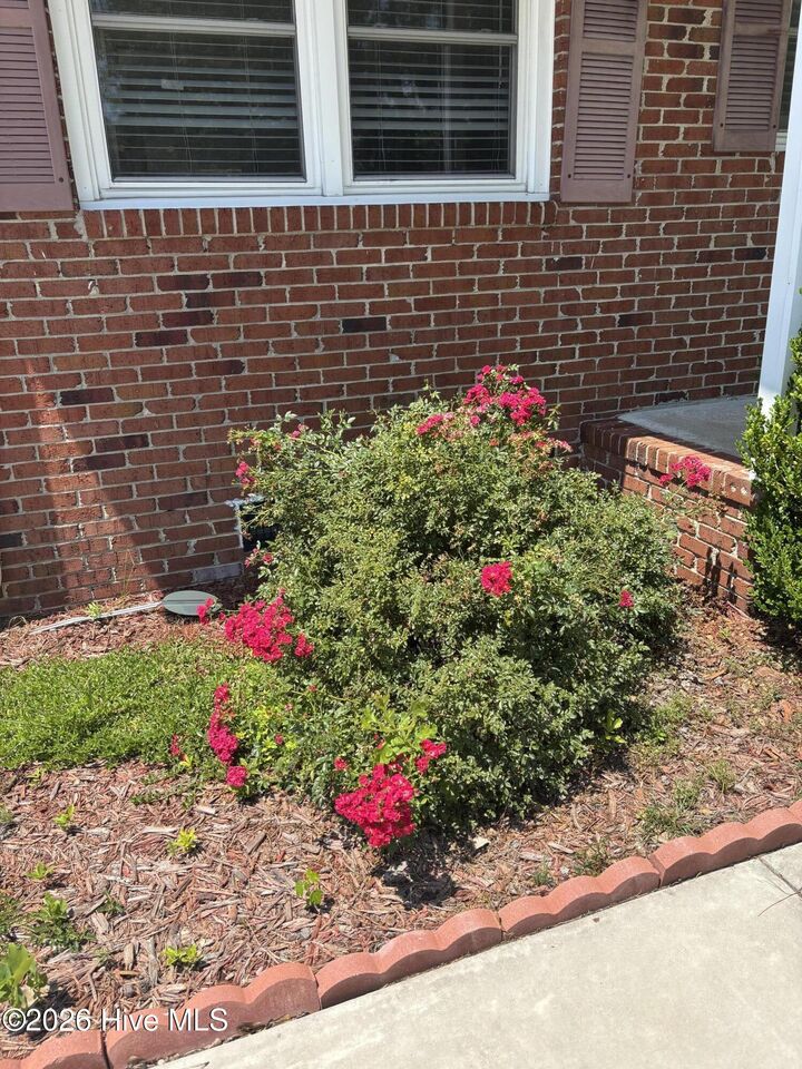 Property Photo:  110 Speight Street  NC 28532 