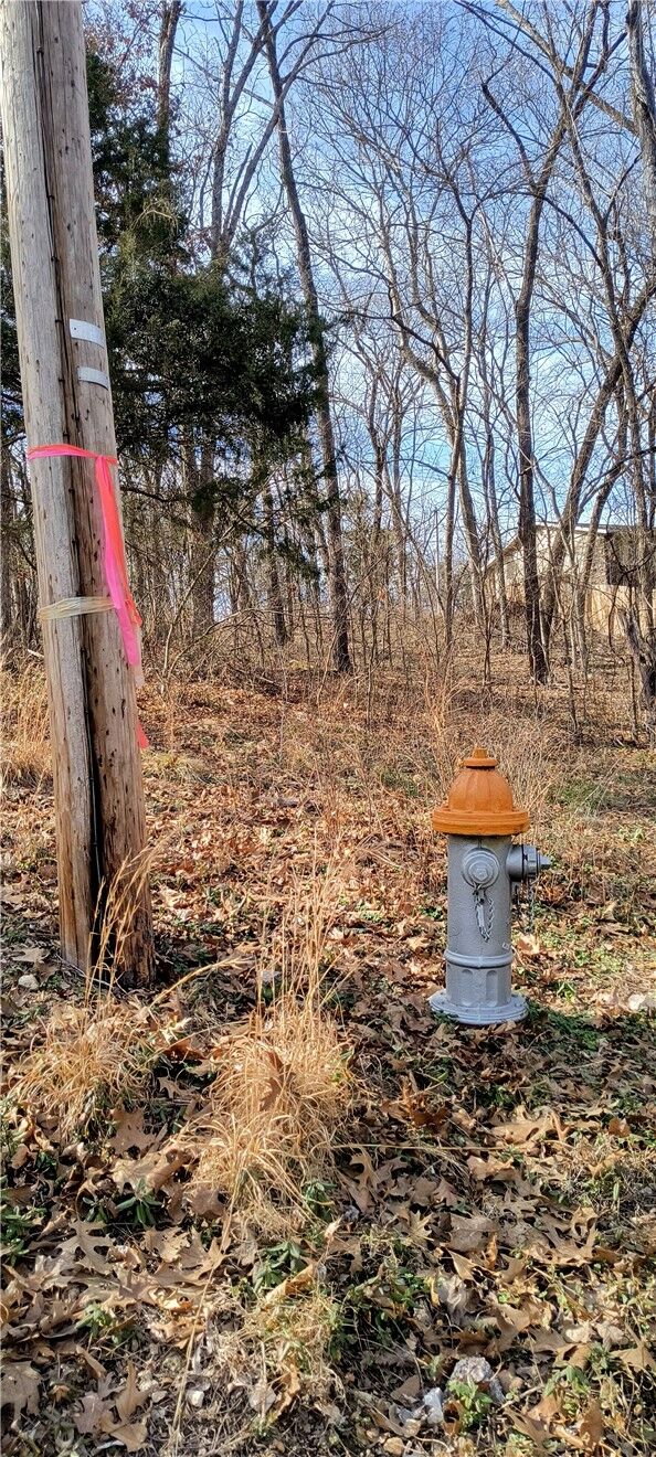Property Photo:  Lot 9, Block 9 Bosworth Circle  AR 72714 