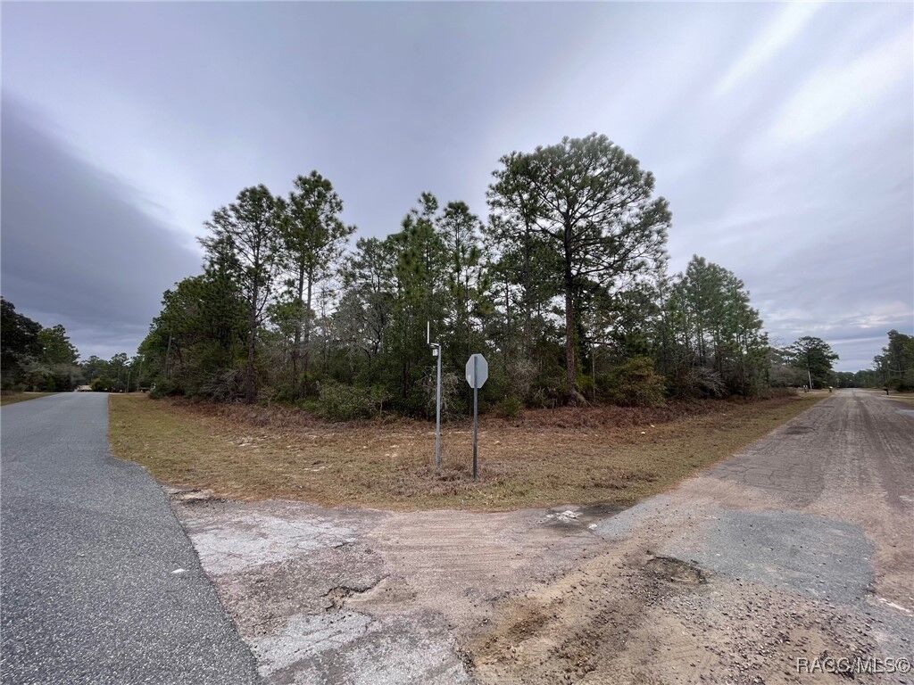 Property Photo:  6671 N Dunlap Terrace  FL 34433 
