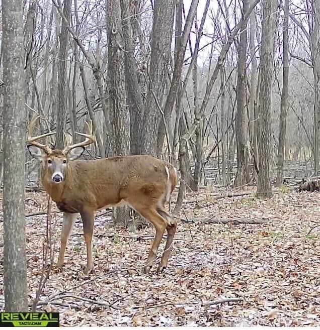 Property Photo:  17.75 Acres County Road G  WI 53952 