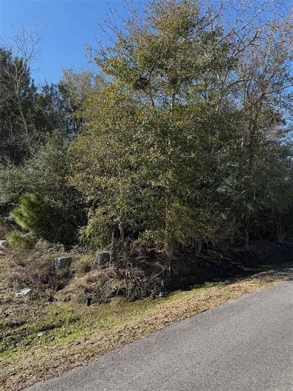 Property Photo:  Park Road  LA 70611 