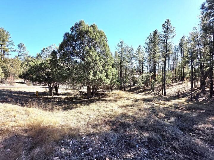 Property Photo:  122 S Hunter Creek Drive  AZ 85541 