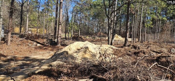 Property Photo:  257 Irvin Jumper  SC 29053 