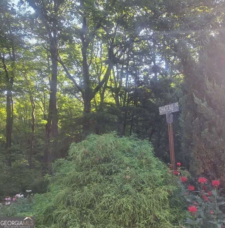 Property Photo: 9 Cook Mountain Drive GA 30512