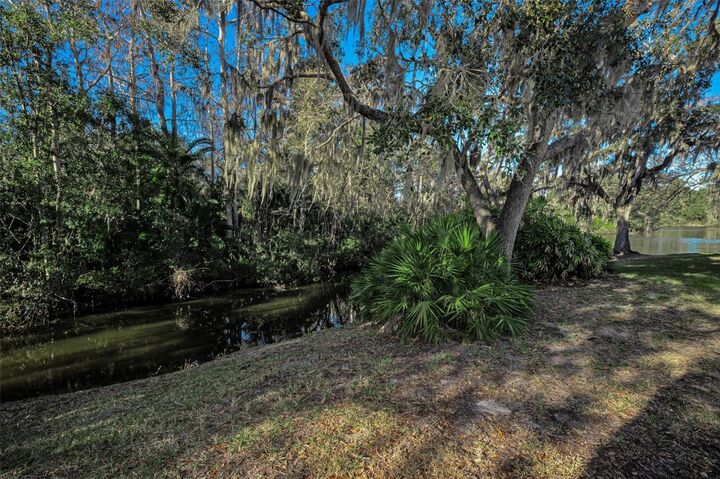 Property Photo: 1462 Woodstream Drive FL 34677