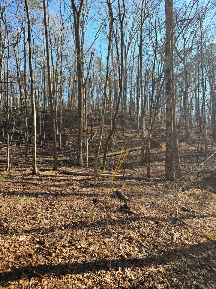 Property Photo:  .93 Pasha Drive  GA 30540 