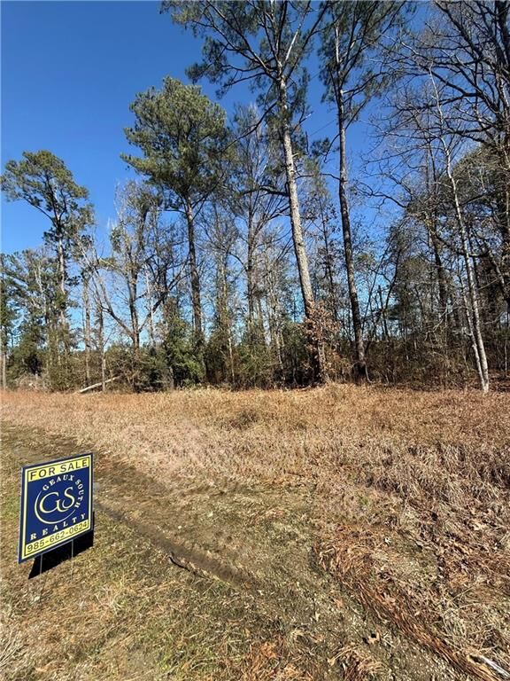 Property Photo:  3 Acres Hwy 43 Highway  LA 70443 