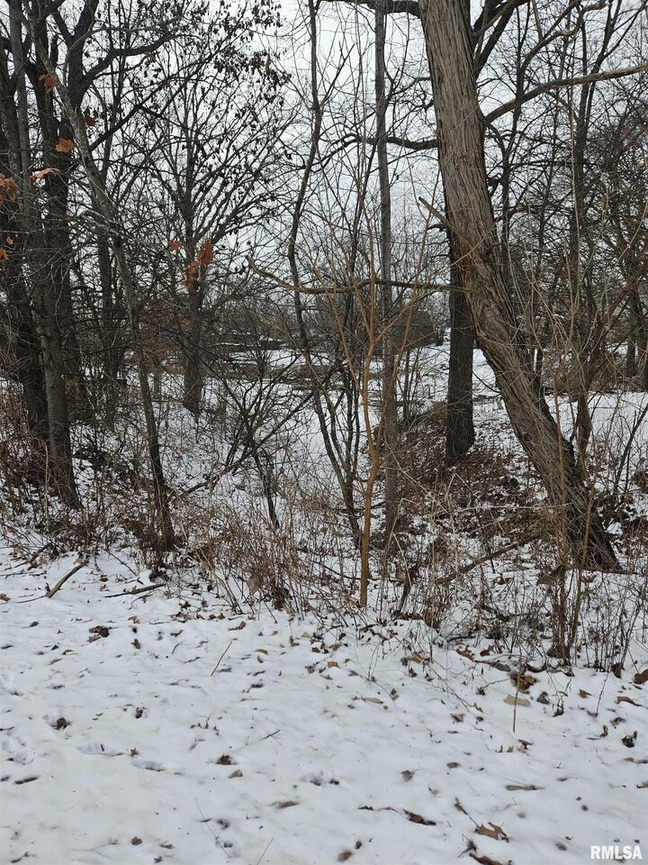 Property Photo:  Lot 430 S Newcastle Court  IL 61547 