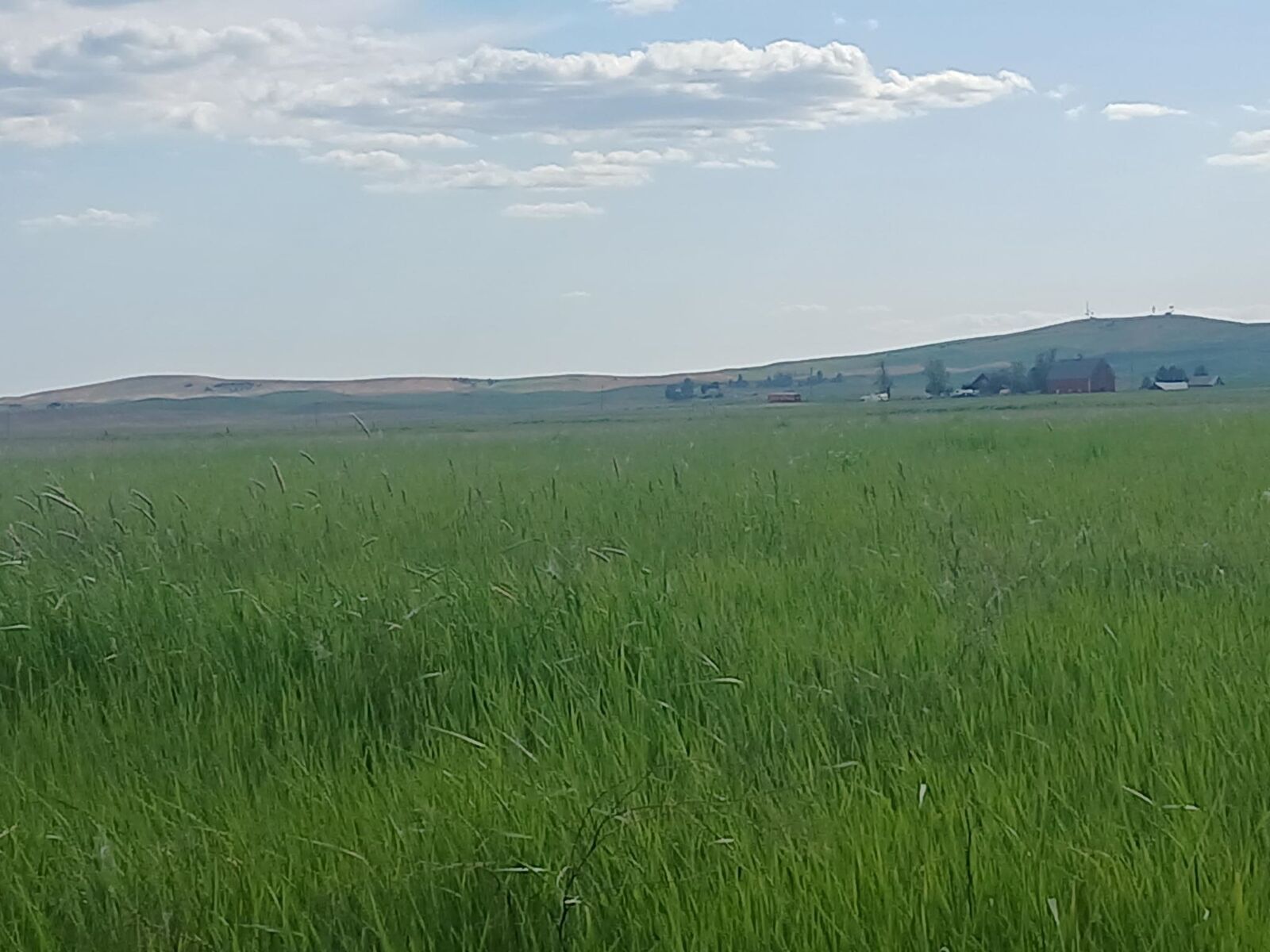 Property Photo:  295xx W Hallett Rd  WA 99022 