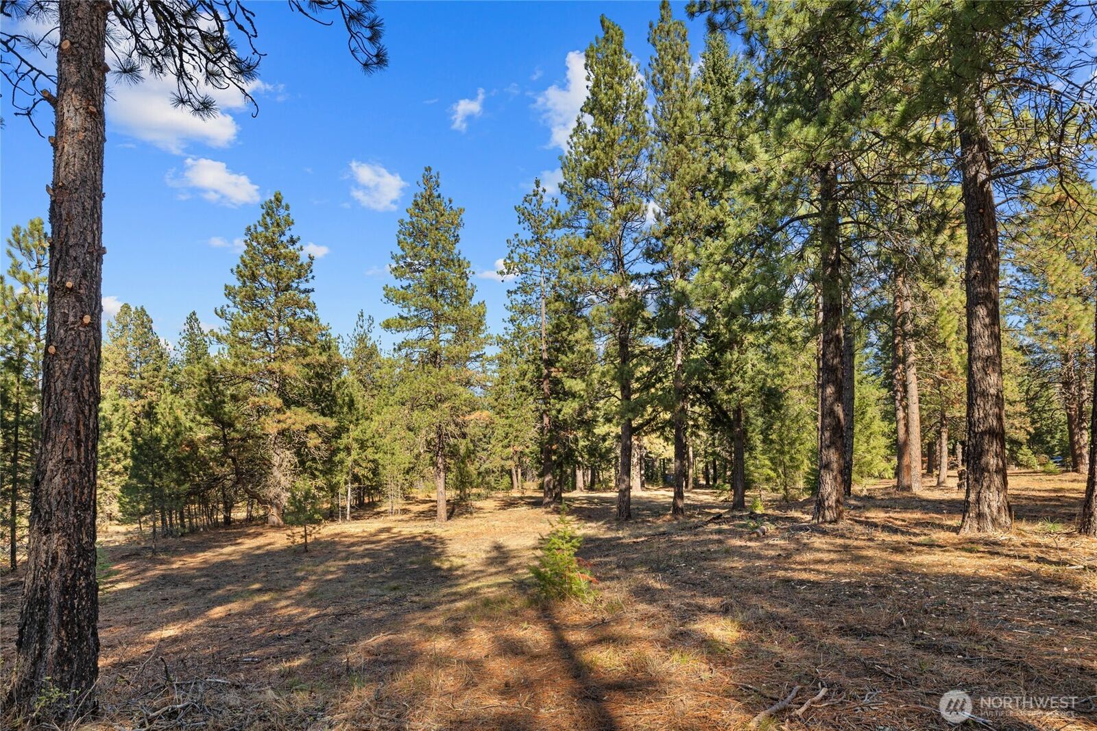 Property Photo:  101  Book Lane  WA 98922 