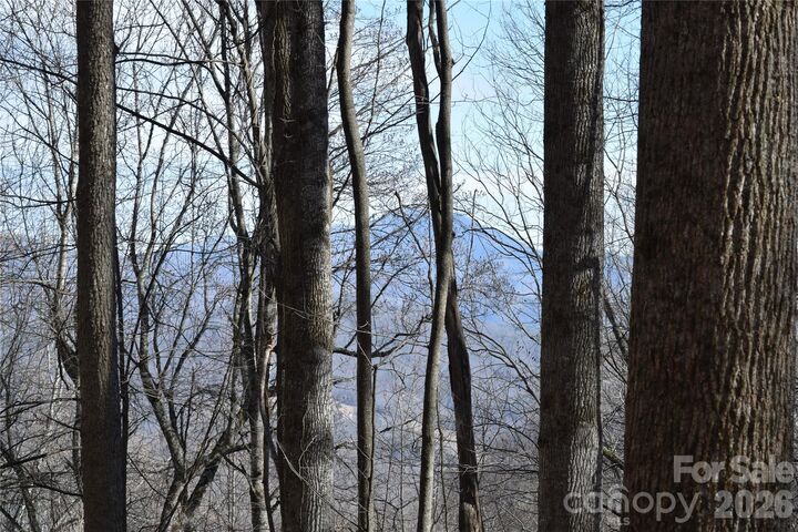 Property Photo: 417&Amp 418 Multiflora Way 417&Amp418 NC 28785