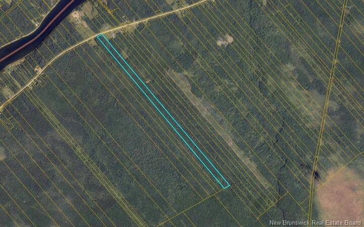 47.9 Acres Rte 118 — photo 1