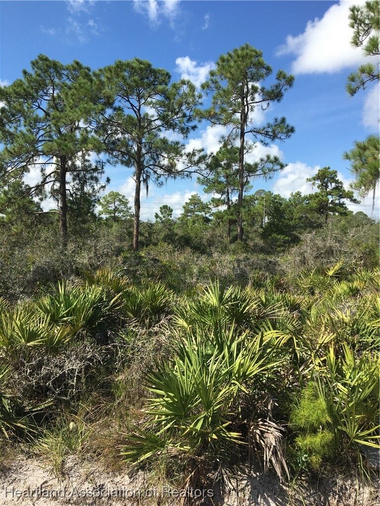 Property Photo:  2113 Algonquin Drive  FL 33875 