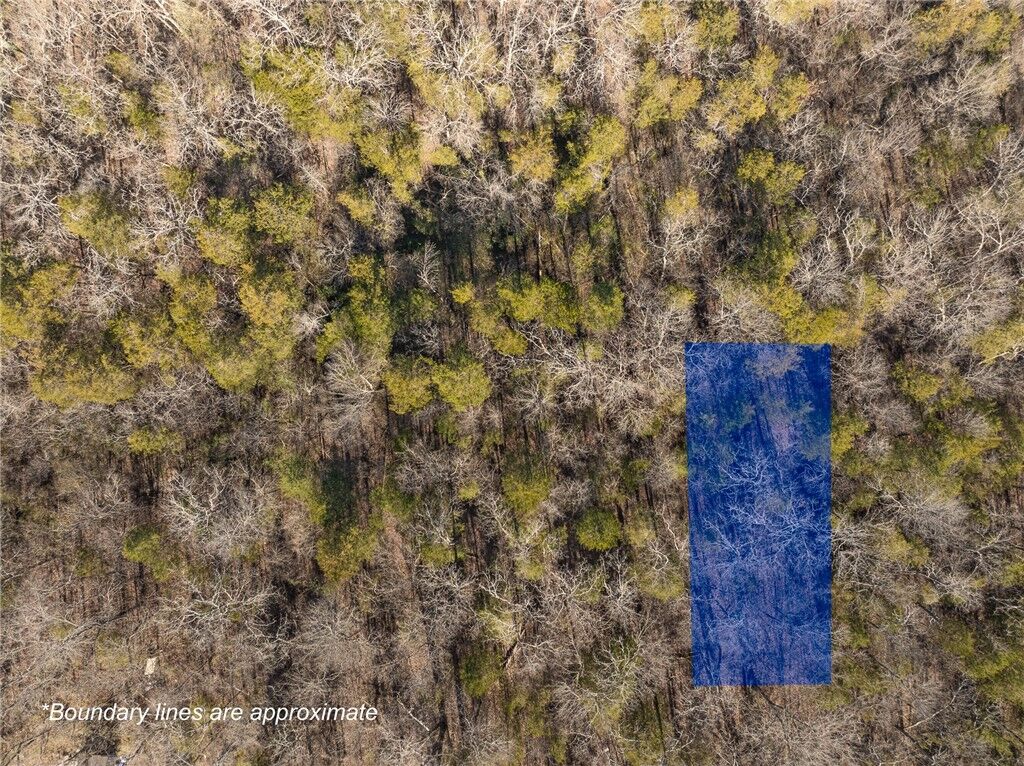 Property Photo:  Lot 62 Fawn Street  AR 72644 