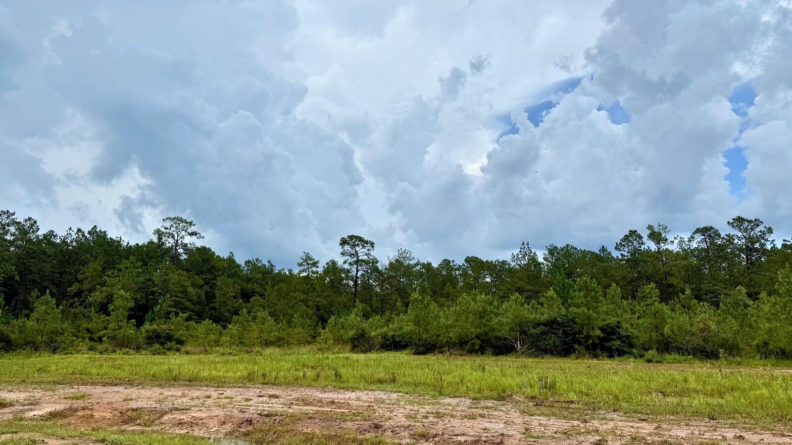 Property Photo:  13285 Blackberry Dr  TX 77657 