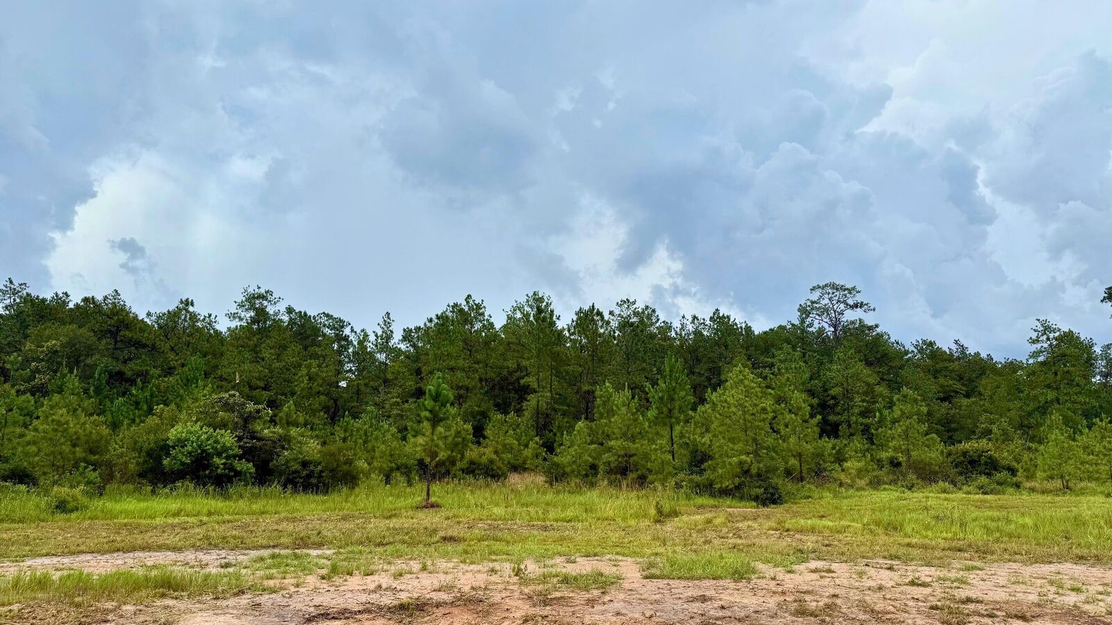 Property Photo:  13255 Blackberry Dr  TX 77657 