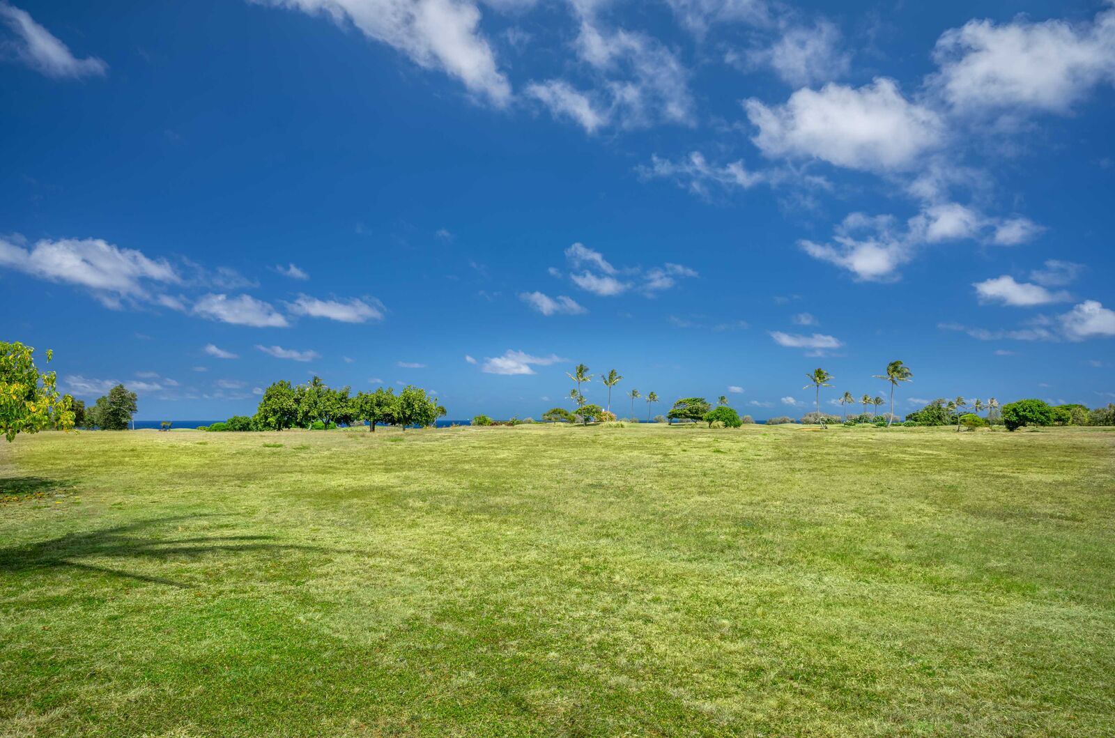 Property Photo: Pohaiula Pl HI 96766
