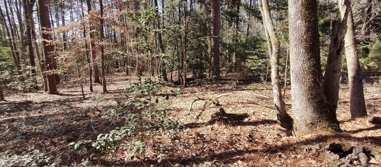 Property Photo: 5099 Hwy 278 AR 71726