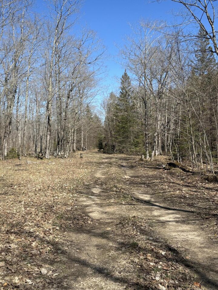 Property Photo: Tbd S Walding Rd MI 49726