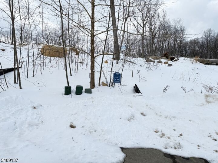 Property Photo:  9 Bristol Ridge Rd  NJ 07005 