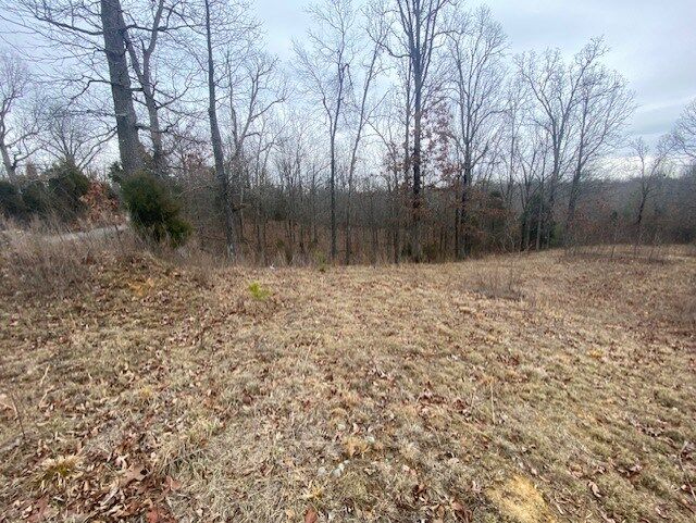 Property Photo:  Buntin Schoolhouse Road  KY 42436 