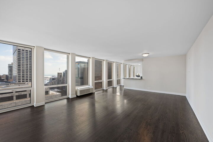 Property Photo:  111 E Chestnut Street 30C  IL 60611 
