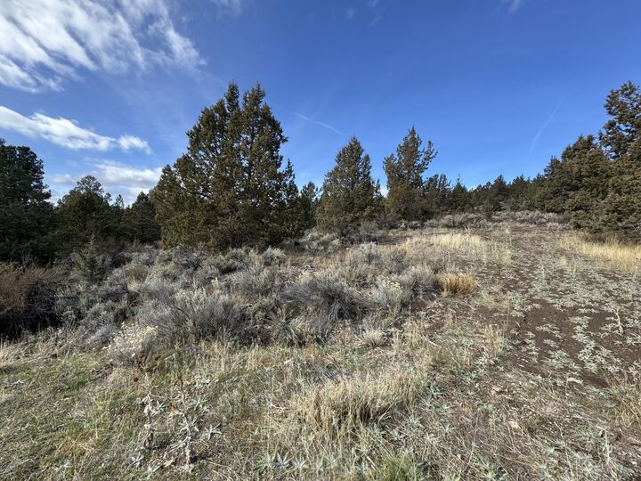 Property Photo:  0 Yakima Street 40  OR 97624 