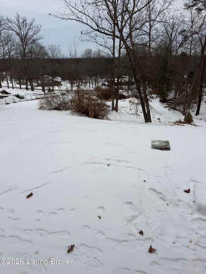 Property Photo:  569 Castleman Branch Rd  KY 40165 
