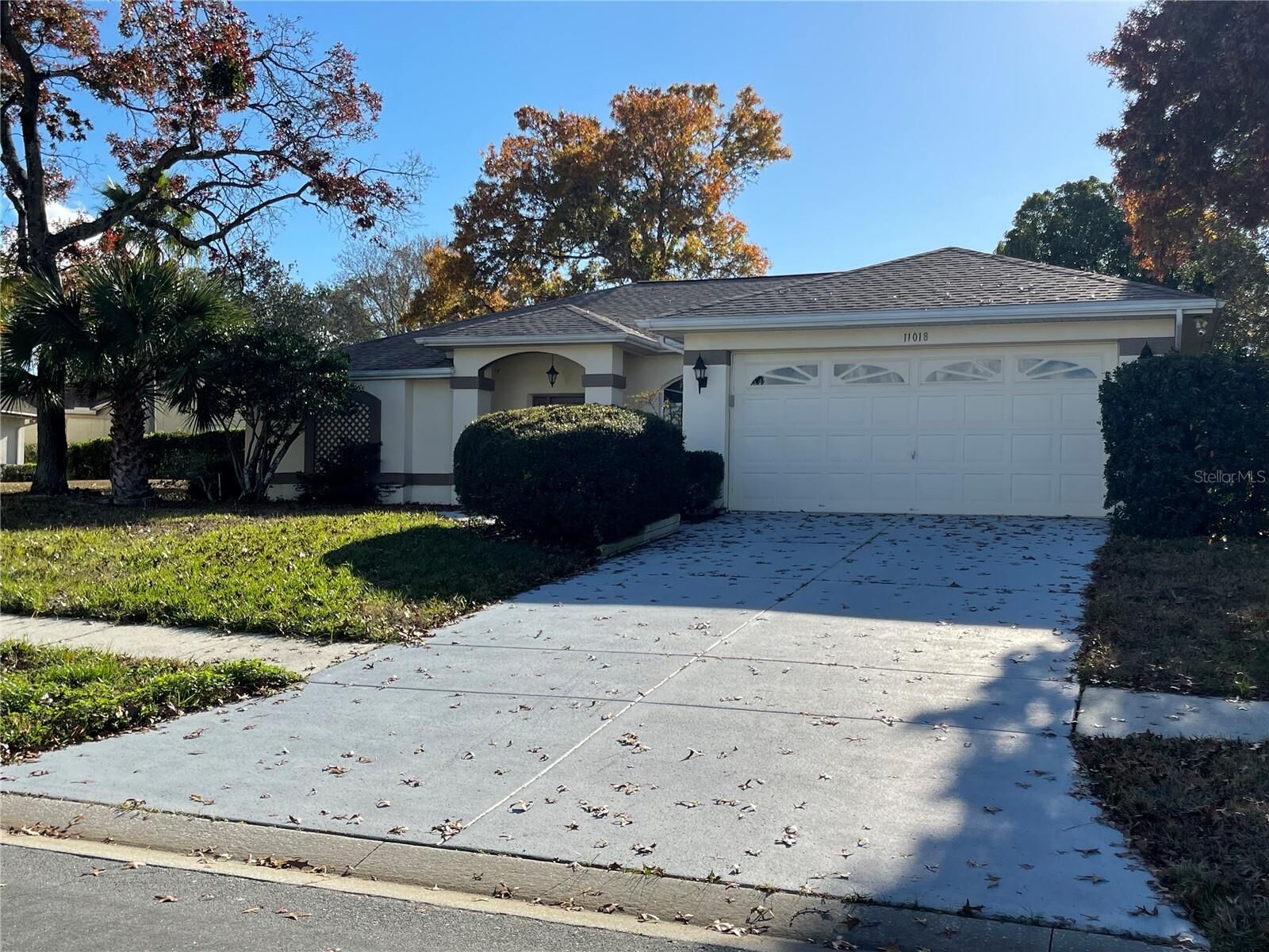Property Photo:  11018 Audie Brook Drive  FL 34608 