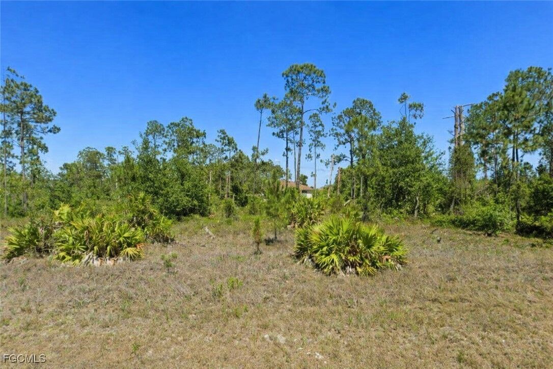Property Photo:  749 Anaconda Avenue S  FL 33974 