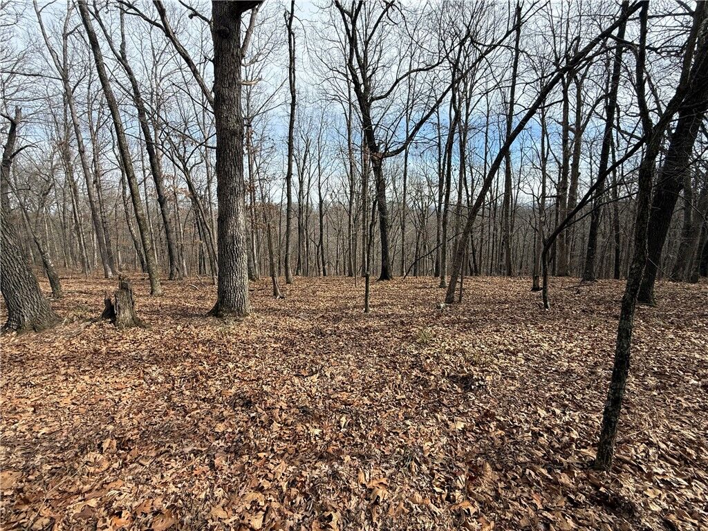 Property Photo:  Tract 3 Cardinal Ridge Road  AR 72632 