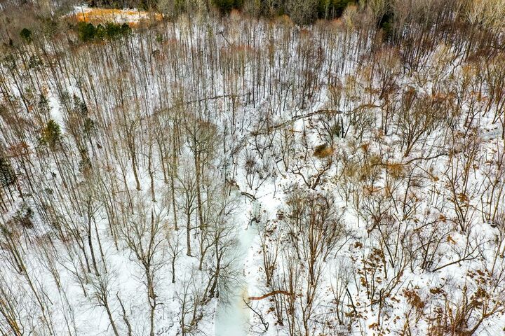 Property Photo:  Farmville Road  VA 23901 