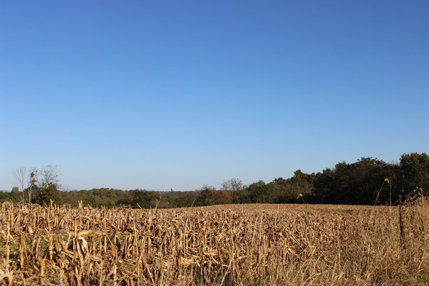 Property Photo: 4 Pepper Hill IN 47040