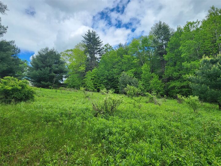 Property Photo:  0 Race Road  NY 13778 