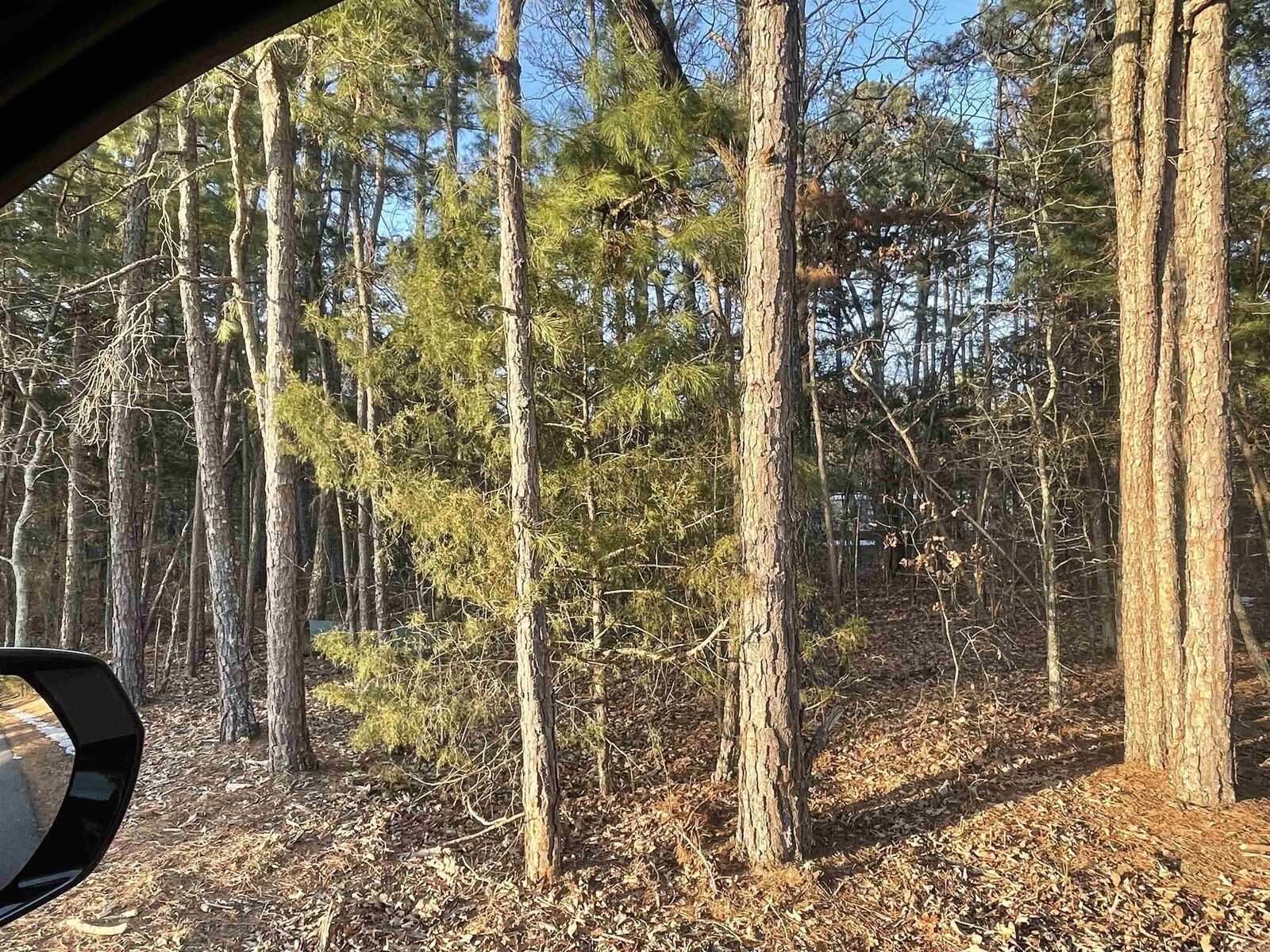 Property Photo:  Lot 4 Tract 45 Ellen Lane  AR 72067 
