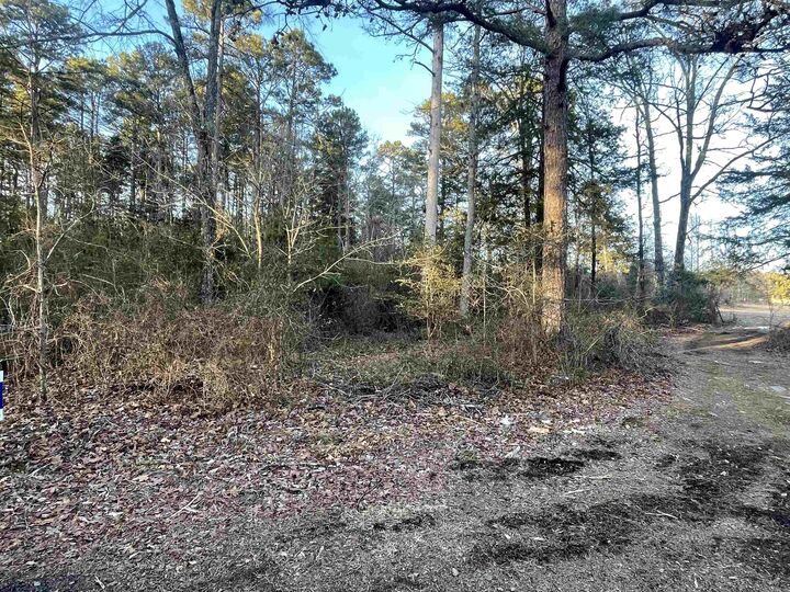 Property Photo: Lot 2 Tract 45 Ellen Lane AR 72067